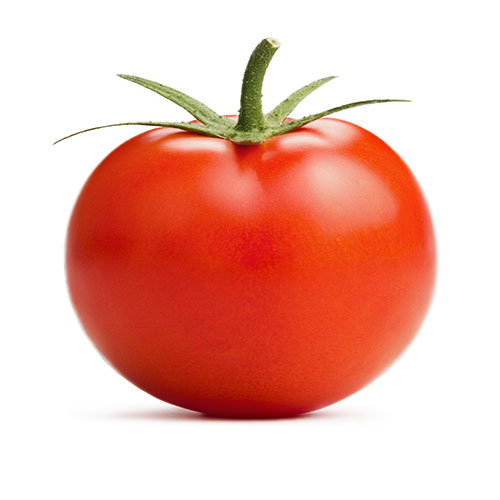 tomato